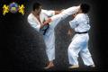 Karate Kyokushinkai