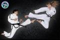 Tae kwon do