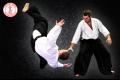 Aikido