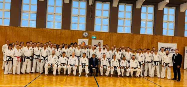 Taekwondo tehniline seminar