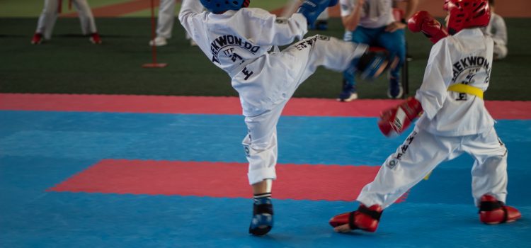 Eesti Karikas taekwondos